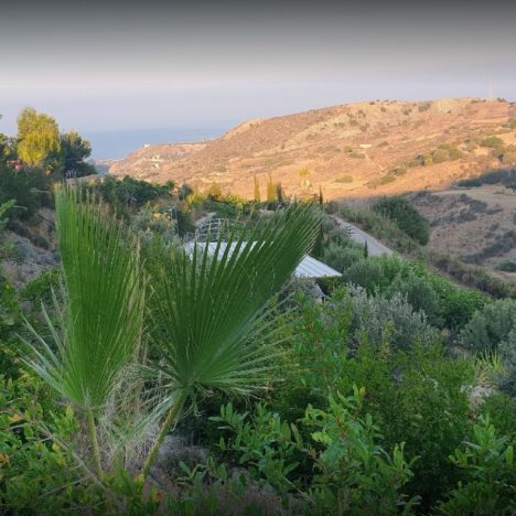 Japans recept voor lang en gelukkig leven