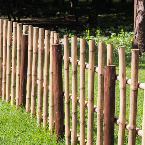 Van je passie je werk maken als 55-plusser