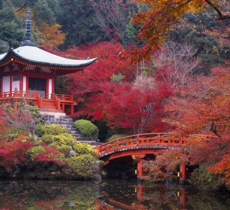 Tot je 80-ste levensstijl bepalend.