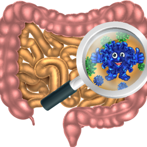 Optimisme is gezond en kun je heel eenvoudig trainen! Aldus hoogleraar neuropsychologie Erik Scherder. Optimisten leven gemiddeld zeven jaar langer.