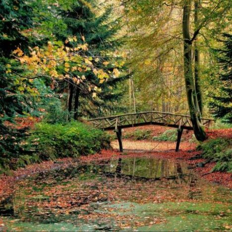 Deze eigenschappen zijn belangrijk voor een lang leven!