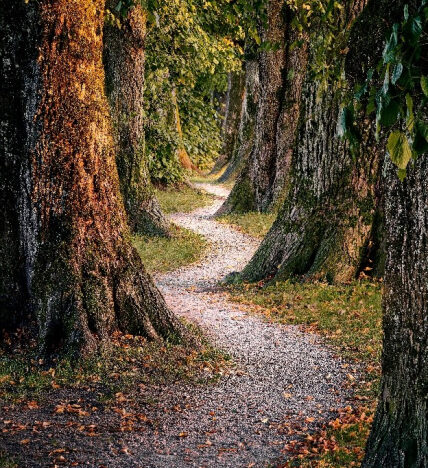 Oudste man ter wereld dankt zijn gezondheid aan ‘hard werken, elke dag borrel en gebed’!
