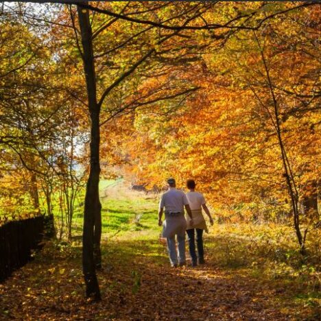 De zesde ‘Blue Zone’: zo deed Singapore de levensverwachting drastisch stijgen