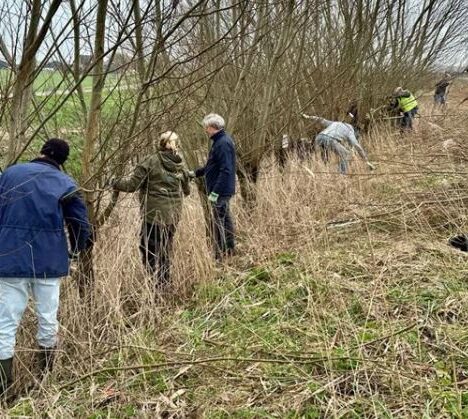 The ‘Active Retirement Handbook’: Your Key to a Healthier, Happier Retirement – Free download