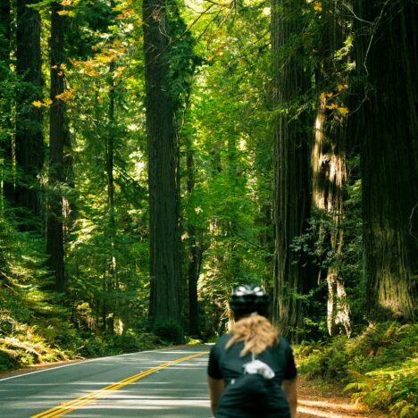 Na 65 terug naar de campus: leren en mentor zijn (VS)