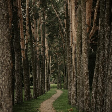 Een nieuwe start na 60. Sarah bewijst dat het kan.